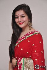 Celebs at Saheba Subramanyam Special Show